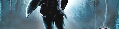 Banner Harry Potter and the Deathly Hallows Part 1