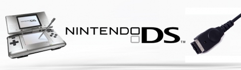Banner Nintendo DS-Voeding