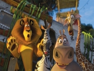 Ga op avontuur met: Alex, Marty, Melman, en Gloria.