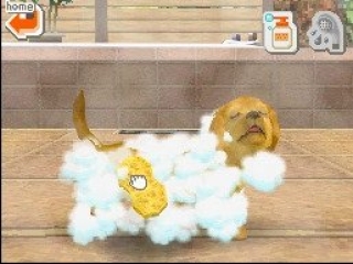 When you wash your dog, you hear the Nintendogs Theme Song.