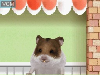 afbeeldingen voor Petz Hamster Superstar