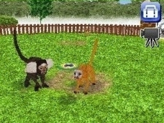 Petz My Monkey Family: Screenshot