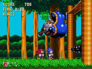 Defeat Dr. Eggman with the help of Sonic the Hedgehog and Knuckles the Echidna.